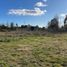  Land for sale in Los Rios, Mariquina, Valdivia, Los Rios
