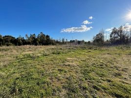  Land for sale in Los Rios, Mariquina, Valdivia, Los Rios