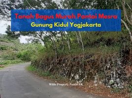  Land for sale in Tepus, Gunung Kidul, Tepus