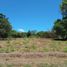  Land for sale in Aldama Tamaulipas, Aldama