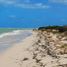  Land for sale in Celestun, Yucatan, Celestun