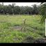  Land for sale in Api-Api, Kuala Selangor, Api-Api