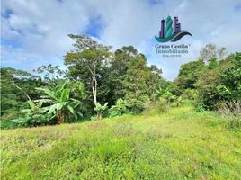 Studio Maison for sale in Jungla de Panama Wildlife Refuge, Palmira, Palmira