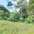 Studio Maison for sale in Jungla de Panama Wildlife Refuge, Palmira, Palmira