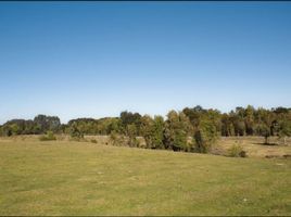  Terreno (Parcela) en venta en Chile, Calbuco, Llanquihue, Los Lagos, Chile