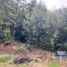  Land for sale in Araucania, Pucon, Cautin, Araucania