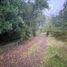  Land for sale in Araucania, Pucon, Cautin, Araucania