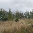  Land for sale in Araucania, Pucon, Cautin, Araucania