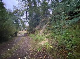  Land for sale in Araucania, Pucon, Cautin, Araucania