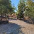  Land for sale in Villa De Alvarez, Colima, Villa De Alvarez