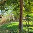 Land for sale in Villa De Alvarez, Colima, Villa De Alvarez