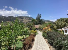 2 Schlafzimmer Haus zu verkaufen in Otavalo, Imbabura, Otavalo, Otavalo