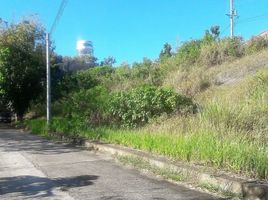  Land for sale in Consolacion, Cebu, Consolacion