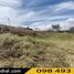  Land for sale in Azogues, Canar, San Miguel, Azogues