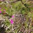  Land for sale in Chile, Olmue, Quillota, Valparaiso, Chile