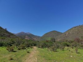  Land for sale in Chile, Olmue, Quillota, Valparaiso, Chile