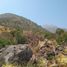  Land for sale in Chile, Olmue, Quillota, Valparaiso, Chile