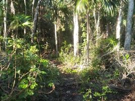  Grundstück zu verkaufen in Cozumel, Quintana Roo, Cozumel