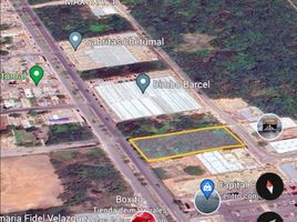  Grundstück zu verkaufen in Othon P Blanco, Quintana Roo, Othon P Blanco
