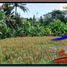  Land for sale in Tampak Siring, Gianyar, Tampak Siring