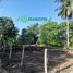  Terreno (Parcela) en venta en Cunduacan, Tabasco, Cunduacan, Tabasco