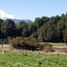  Terreno (Parcela) en venta en Llanquihue, Los Lagos, Puerto Montt, Llanquihue