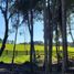  Terreno (Parcela) en venta en Llanquihue, Los Lagos, Puerto Montt, Llanquihue