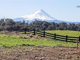  Terreno (Parcela) en venta en Llanquihue, Los Lagos, Puerto Montt, Llanquihue
