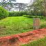  Land for sale in Cordoba, Monteria, Cordoba