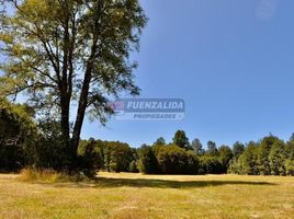  Terreno (Parcela) en venta en Loncoche, Cautín, Loncoche