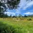  Terreno (Parcela) en venta en Loncoche, Cautín, Loncoche