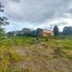  Land for sale in Bantul, Yogyakarta, Banguntapan, Bantul