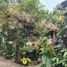 Villa 3 chambre à vendre à Sumurbandung, West Jawa, Sumurbandung