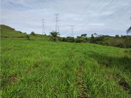  Land for sale in Veraguas, Atalaya, Atalaya, Veraguas