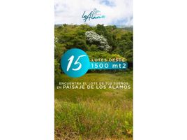  Land for sale in Pereira, Risaralda, Pereira