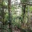  Land for rent in Ubud, Bali, Ubud, Gianyar, Bali, Indonesia