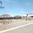  Grundstück zu verkaufen in Aldama, Chihuahua, Aldama