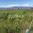  토지을(를) Dist Ocotlan, 오악 사카에서 판매합니다., Dist Ocotlan