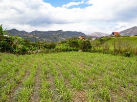  Terreno (Parcela) en venta en Loja, Loja, Loja, Loja, Loja