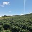  Land for sale in Marinilla, Antioquia, Marinilla
