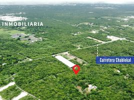  Grundstück zu verkaufen in Conkal, Yucatan, Conkal
