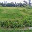  Terreno (Parcela) en venta en Seyegan, Yogyakarta, Seyegan, Sleman