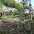  Land for sale in Ixhuacan De Los Reyes, Veracruz, Ixhuacan De Los Reyes