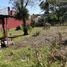  Land for sale in Ixhuacan De Los Reyes, Veracruz, Ixhuacan De Los Reyes