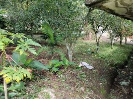  Land for sale in Ixhuacan De Los Reyes, Veracruz, Ixhuacan De Los Reyes