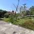  Land for sale in Manisrenggo, Klaten, Manisrenggo