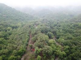  Terreno (Parcela) en venta en Allende, Nuevo León, Allende