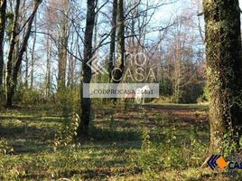  Land for sale in Universidad de la Frontera Campus Pucón, Pucon, Pucon
