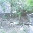 2 Schlafzimmer Haus zu verkaufen in Benowo, East Jawa, Benowo