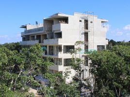 1 Schlafzimmer Appartement zu vermieten in Cozumel, Quintana Roo, Cozumel